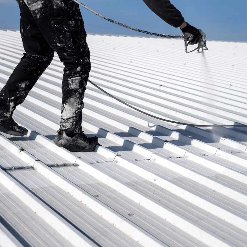 Roof Painting